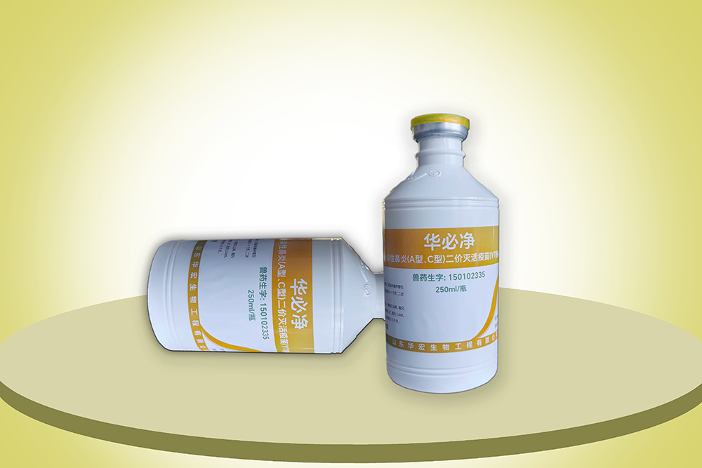 雞傳染性鼻炎(A型、C型)二價滅活疫苗(YT株+JN株)